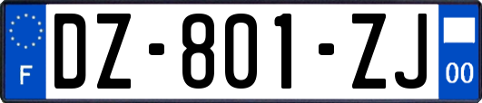 DZ-801-ZJ