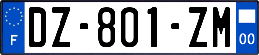 DZ-801-ZM