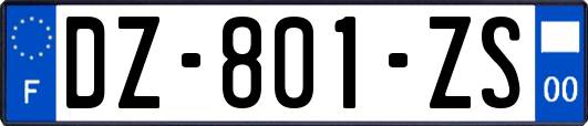 DZ-801-ZS