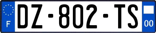 DZ-802-TS