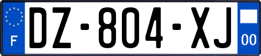 DZ-804-XJ