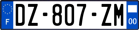 DZ-807-ZM