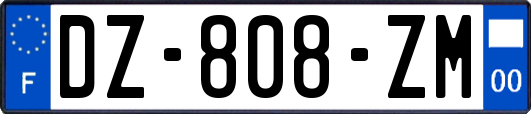 DZ-808-ZM