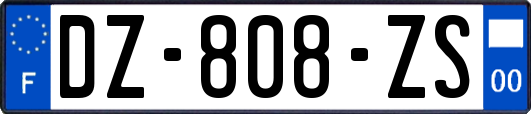 DZ-808-ZS