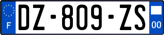 DZ-809-ZS