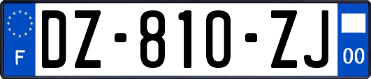 DZ-810-ZJ