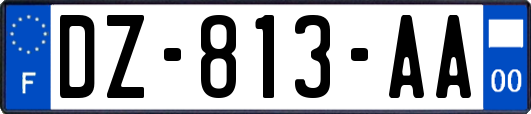 DZ-813-AA