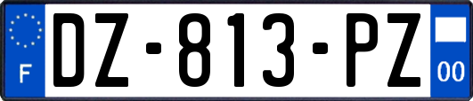 DZ-813-PZ