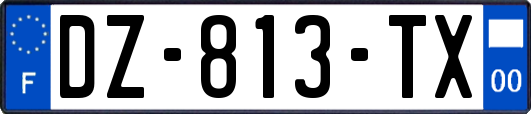 DZ-813-TX