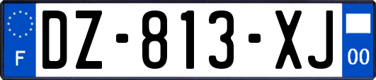 DZ-813-XJ