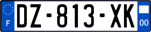 DZ-813-XK