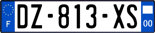 DZ-813-XS