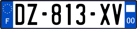 DZ-813-XV