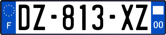 DZ-813-XZ