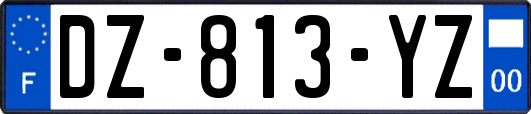 DZ-813-YZ