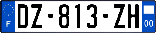 DZ-813-ZH