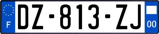 DZ-813-ZJ