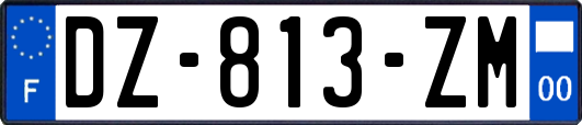 DZ-813-ZM