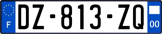 DZ-813-ZQ