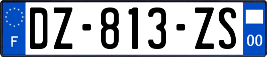 DZ-813-ZS