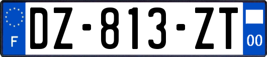 DZ-813-ZT