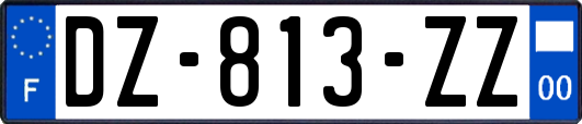 DZ-813-ZZ