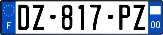 DZ-817-PZ