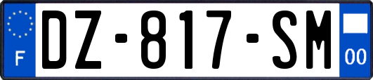 DZ-817-SM