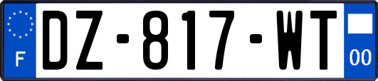 DZ-817-WT