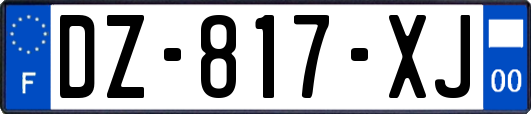 DZ-817-XJ