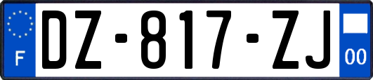 DZ-817-ZJ