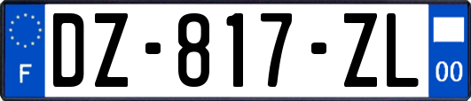 DZ-817-ZL