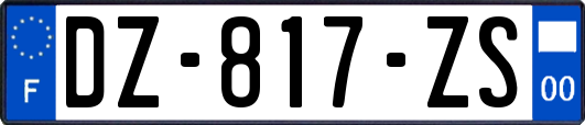 DZ-817-ZS