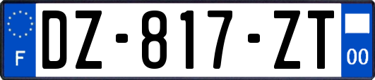 DZ-817-ZT