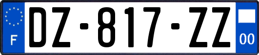 DZ-817-ZZ