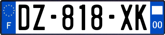 DZ-818-XK