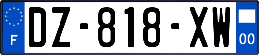 DZ-818-XW