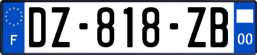 DZ-818-ZB