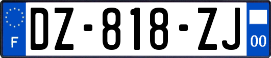 DZ-818-ZJ