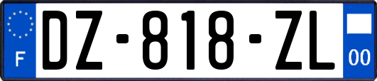 DZ-818-ZL