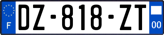 DZ-818-ZT