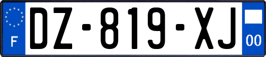 DZ-819-XJ