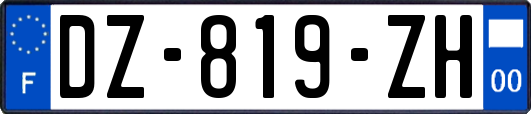 DZ-819-ZH