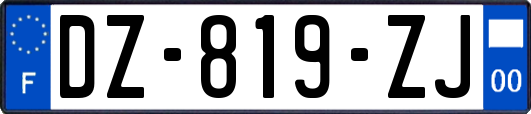 DZ-819-ZJ