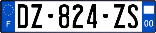 DZ-824-ZS