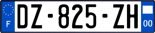 DZ-825-ZH