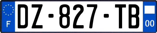 DZ-827-TB