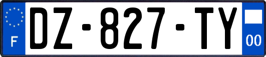 DZ-827-TY