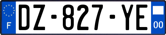 DZ-827-YE