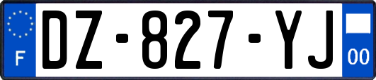 DZ-827-YJ